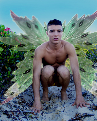 Illustration for article titled Boy Faeries